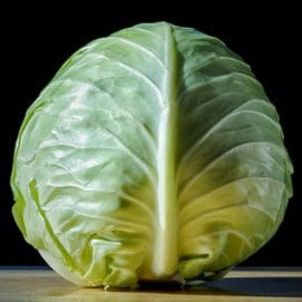 Cabbage